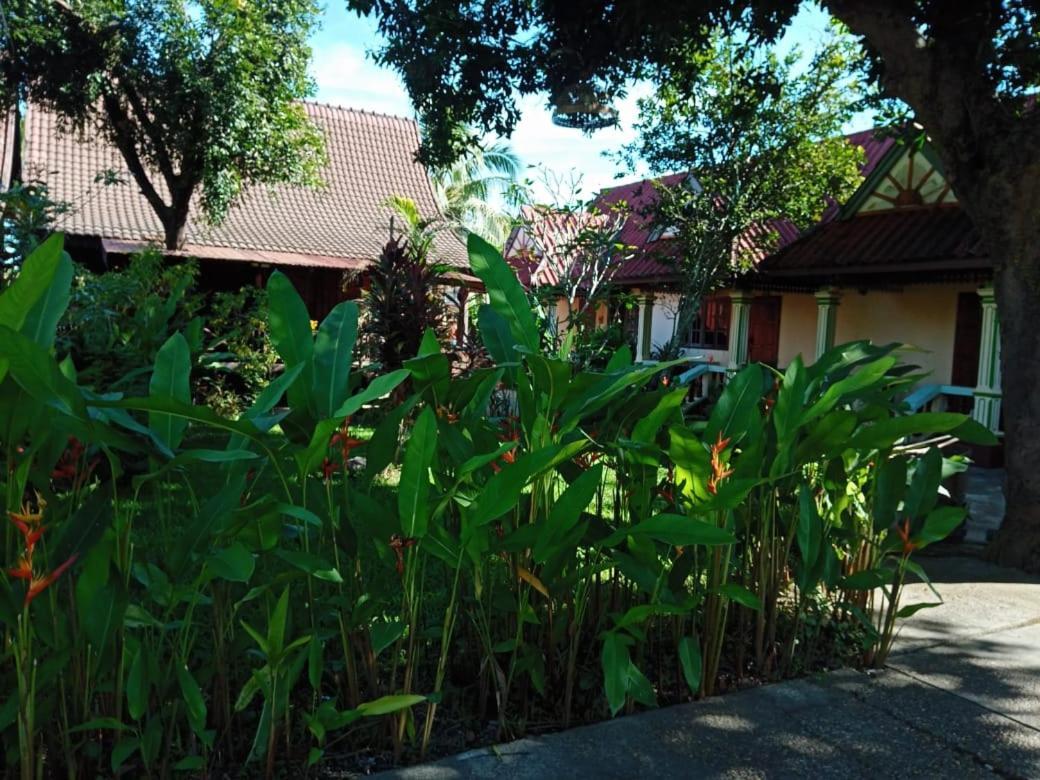 Anouxa Riverview Guesthouse Champasak Exterior foto
